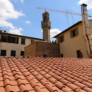 Vista Su Palazzo Vecchio Florencia